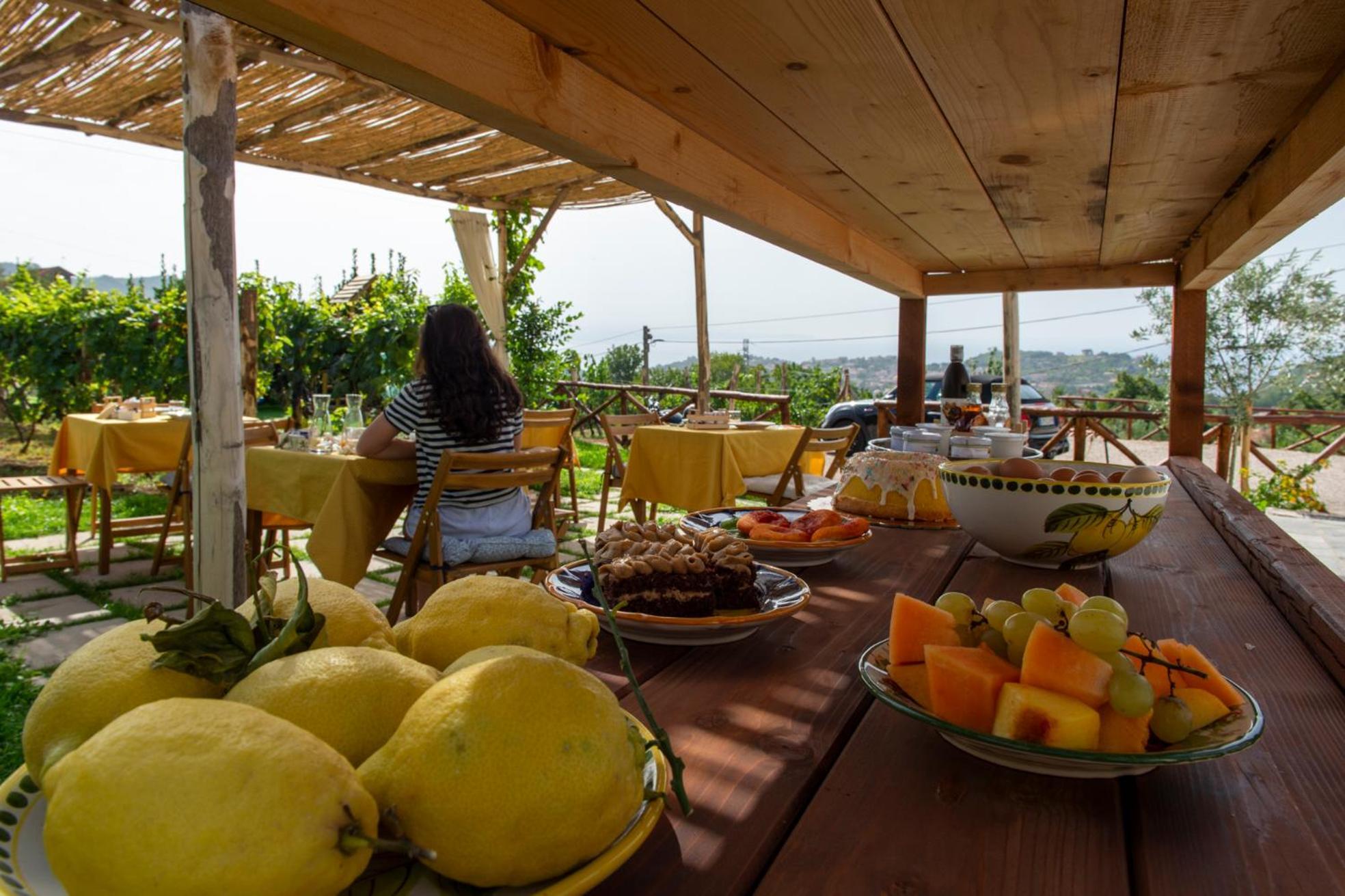 Il Vigneto Di Nonno Pietro Bed & Breakfast Agerola Exterior photo