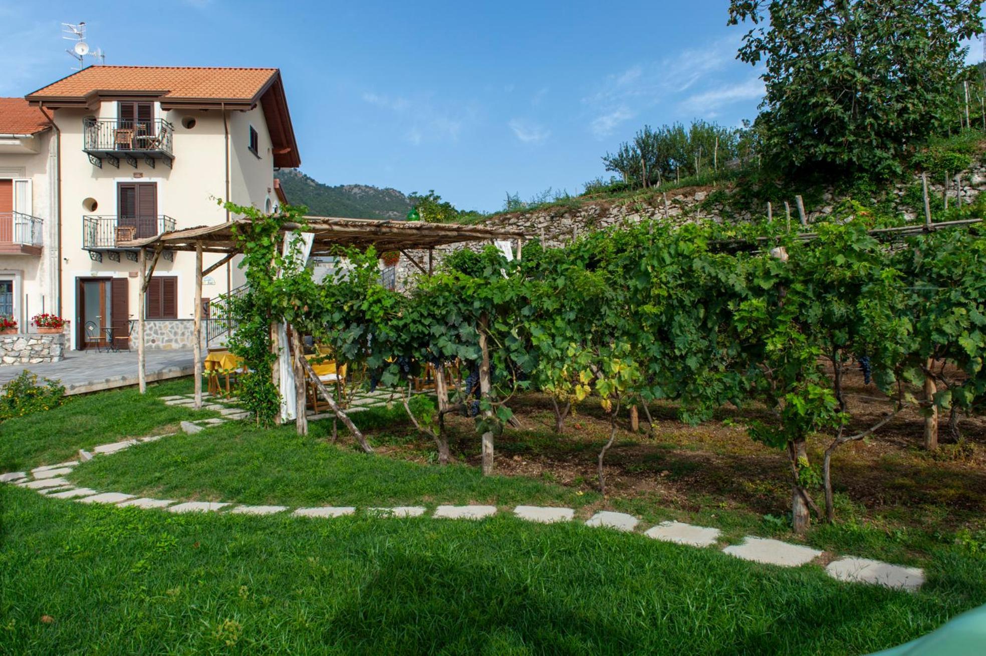 Il Vigneto Di Nonno Pietro Bed & Breakfast Agerola Exterior photo